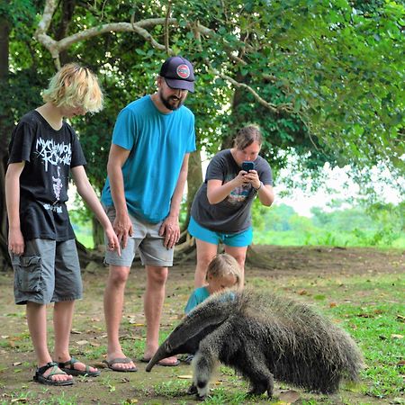 Avatar Amazon Lodge & Canopy Park Santa Teresa エクステリア 写真