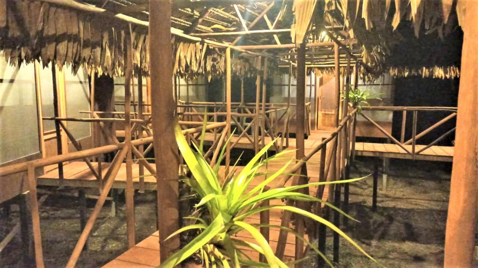 Avatar Amazon Lodge & Canopy Park Santa Teresa エクステリア 写真